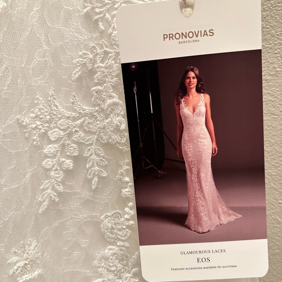 Pronovias EOS Lace Wedding Dress - Picture 8 of 16